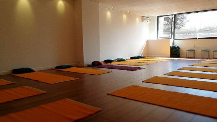 Yoga Nadanta Aix en provence Ecole de Yoga Natha